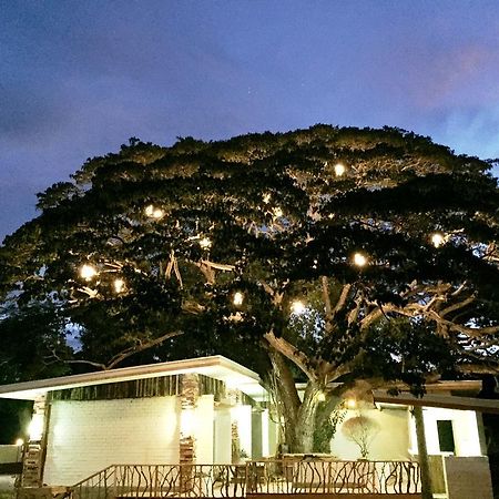 Serviced Apartments By Eco Hotel Bohol Panglao Bagian luar foto